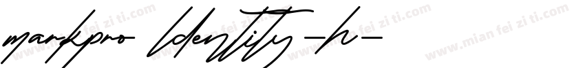markpro ldentity-h字体转换